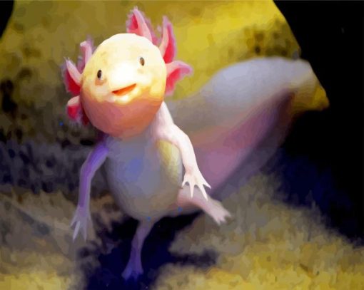 Cute Axolotl Amphibian Animal paint by numbers