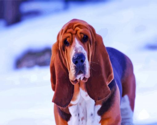 Cute Bloodhound In Snow paint by numbers