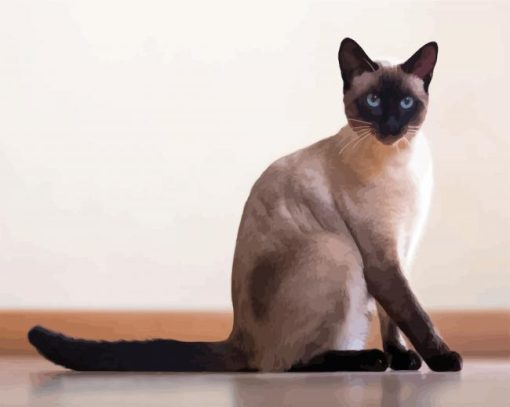 Cute siamese paint by numbers