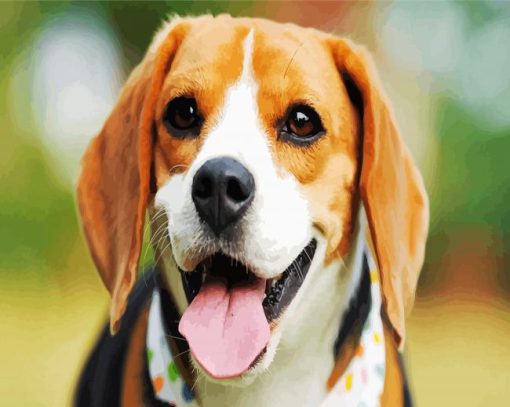 Cute Beagle Dog Head paint by number