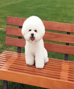 Cute Bichon Puppy paint by number