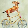 Cyclist Dachshund paint by numbers