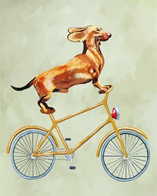 Cyclist Dachshund paint by numbers