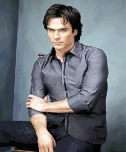 Damon Salvatore Ian Somerhalder paint by numbers