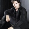 Damon Salvatore Vampire Diaries paint by number