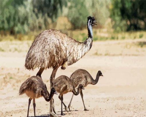 Emu With Chicks paint by numbers