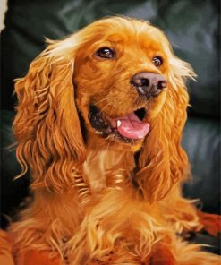 English Cocker Spaniel paint by number paint by numbers