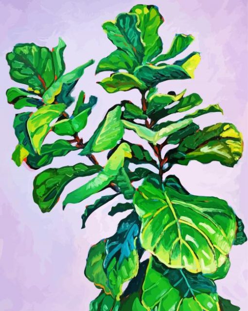 Fiddle Leaf Fig paint by number