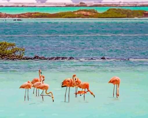 Flamingos In Bonaire Island paint by number