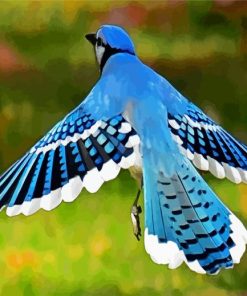 Flying Blue Jay paint by number