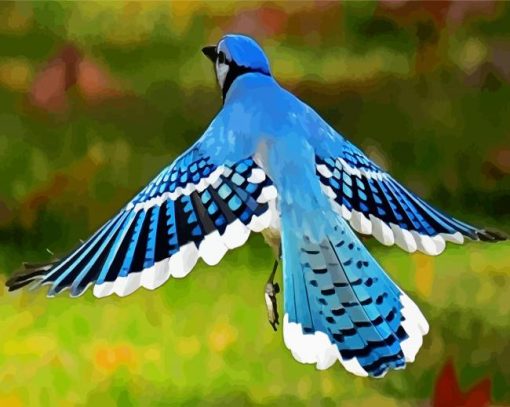 Flying Blue Jay paint by number