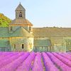 France Provence Lavender paint by numbers