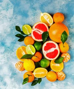 Fresh Citrus Fruit paint by numbers