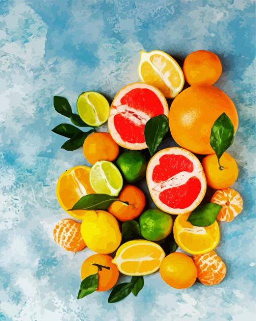 Fresh Citrus Fruit paint by numbers