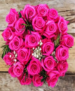 Fuchsia Roses Bouquet paint by number