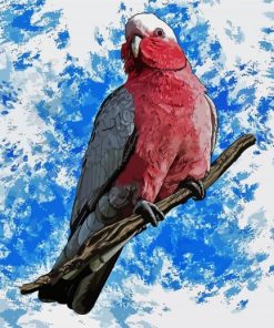 Galah Bird Art paint by numbers