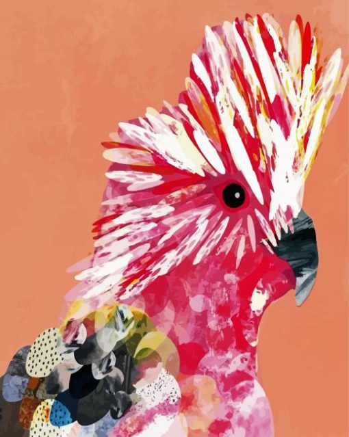 Galah Pop Art paint by numbers