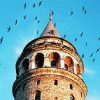 Galata Tower Surounded By Birds paint by numbers