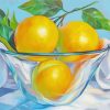 Glass Bowl Lemon paint by numbers