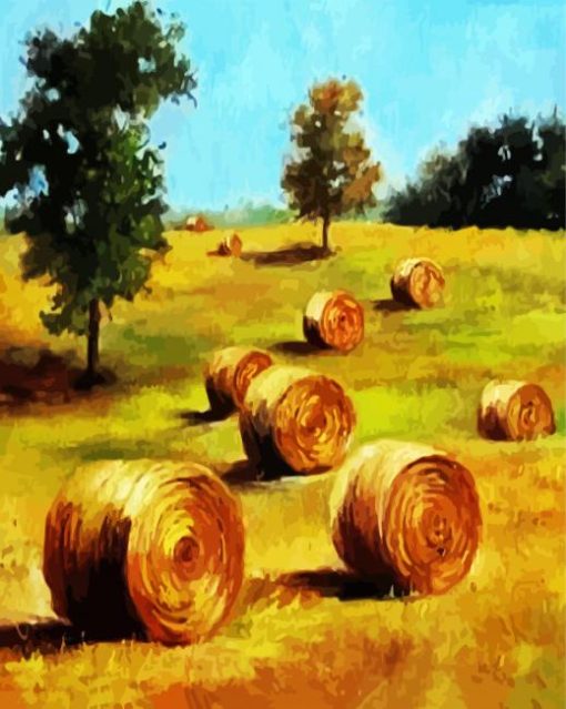 Golden Bay Bales Art paint by numbers