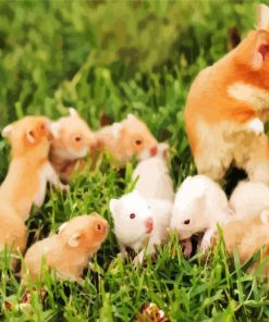 Hamster Family paint by number