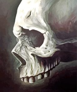 Head Bones paint by number