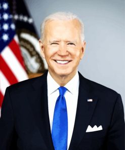 Joe Biden USA President paint by numbers