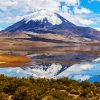 Lauca National Park Chile paint by number