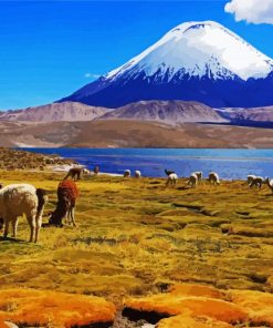 Lauca National Park paint by number