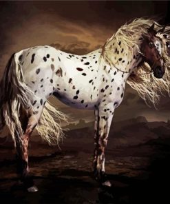 Leopard Appaloosa Horse paint by numbers