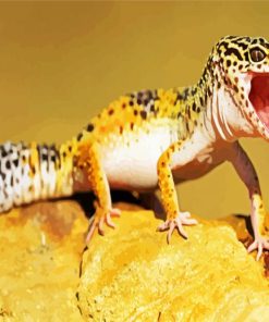 Leopard Gecko paint by number