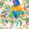 Lorikeet Bird Art paint by numbers