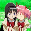 Madoka Kaname And Homura Akemi paint by numbers paint by numbers