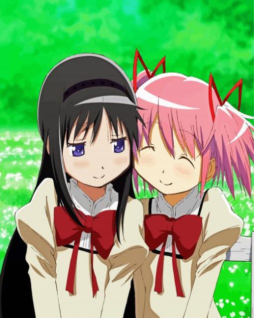 Madoka Kaname And Homura Akemi paint by numbers paint by numbers