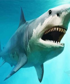 Megalodon Fish Underwater paint by numbers