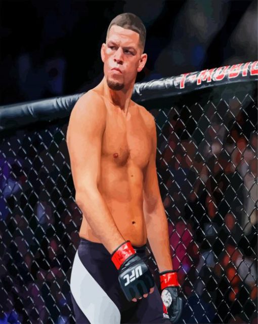 Nate Diaz paint by numbers