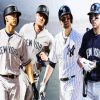 New York Yankees Team paint by numbers