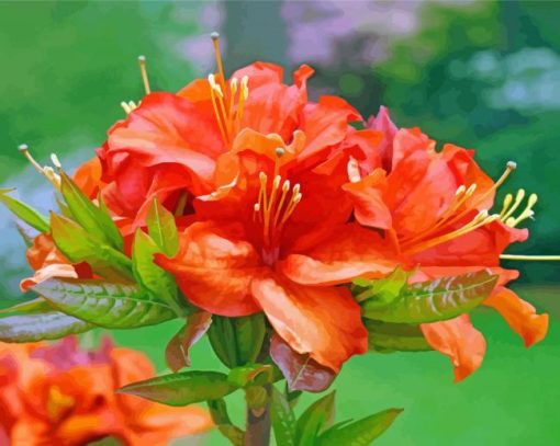 Orange Azaleas paint by numbers