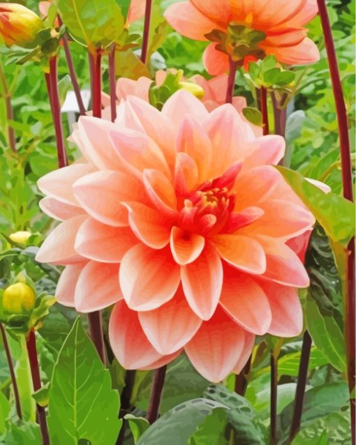 Orange Dahlia paint by numbers