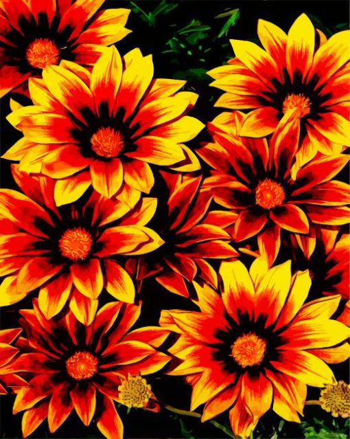 Orange Gazania Flowers paint by number