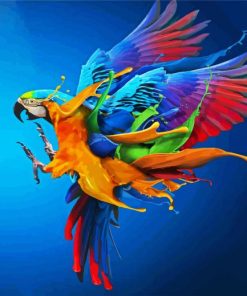 Parrot Splash paint by number