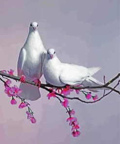 Pieon Doves paint by numbers