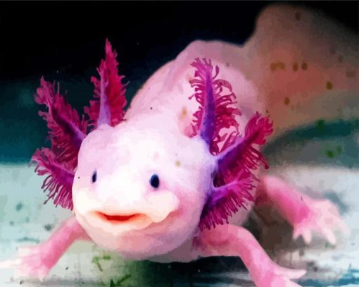 Pink Axolotl paint by numbers