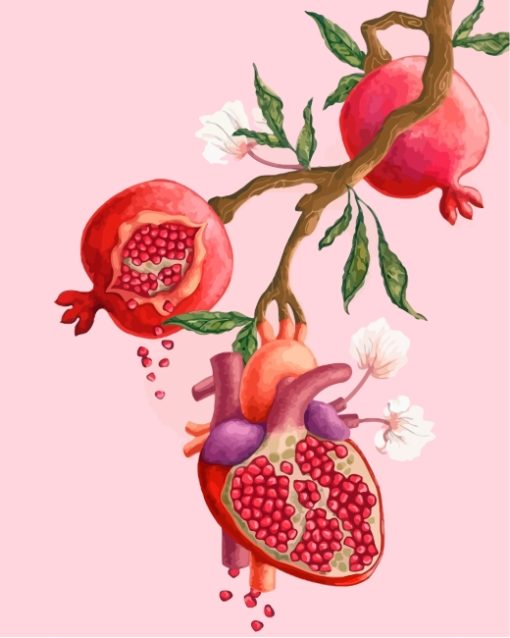 Pomegranate Art paint by numbers