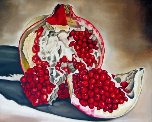 Pomegranate Fruit Art paint by numbers