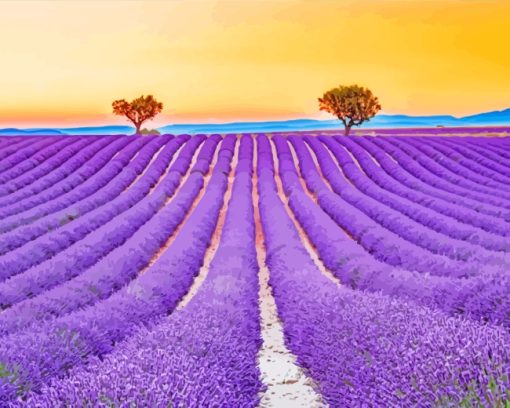 Provence Landscape paint by numbers