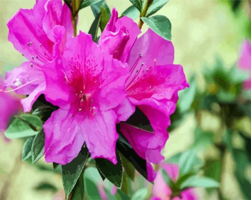 Purple Azaleas paint by numbers