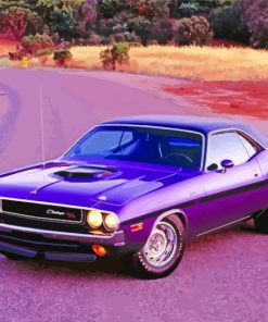 Purple Challenger Car paint by numbers