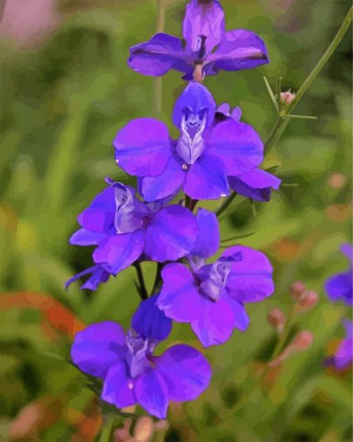 Purple Larkspur paint by number