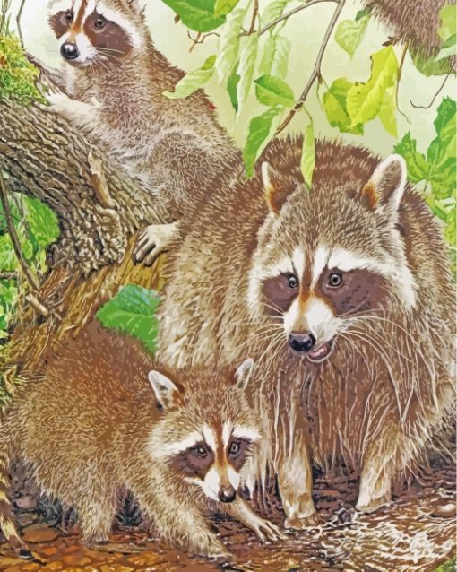 Raccoon Family paint by numbers